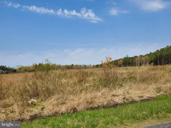 LOT 1C PEANUT TINGLE RD, Frankford, DE 19945