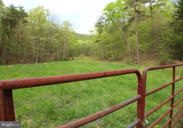 Petersburg, WV 26847,24.18 ACRES PUMPKIN CENTER RD