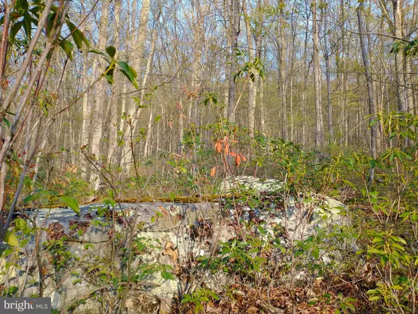 Wardensville, WV 26851,LOT 14 PINE RIDGE RD EXT