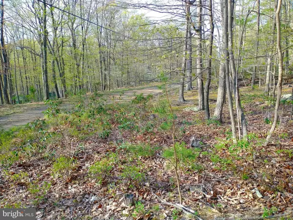 Wardensville, WV 26851,LOT 14 PINE RIDGE RD EXT