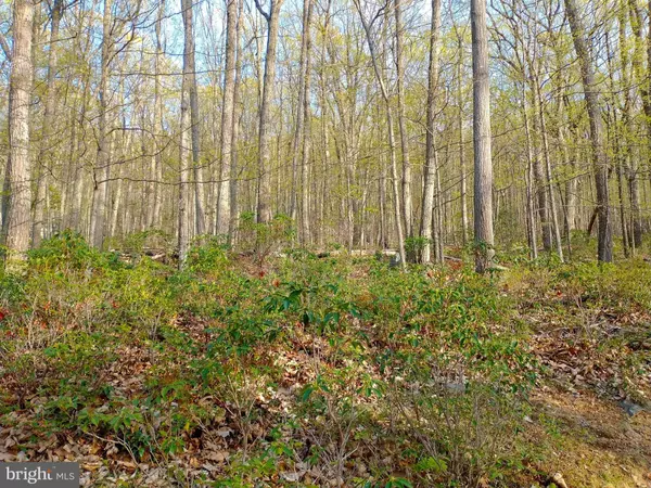 Wardensville, WV 26851,LOT 14 PINE RIDGE RD EXT