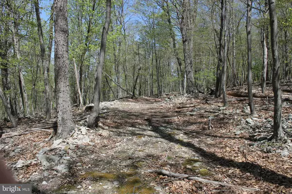 High View, WV 26808,LOT 95 BAKER MOUNTAIN DRIVE