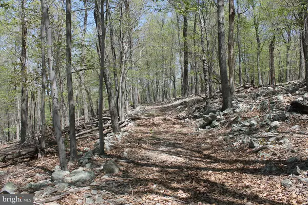 High View, WV 26808,LOT 95 BAKER MOUNTAIN DRIVE