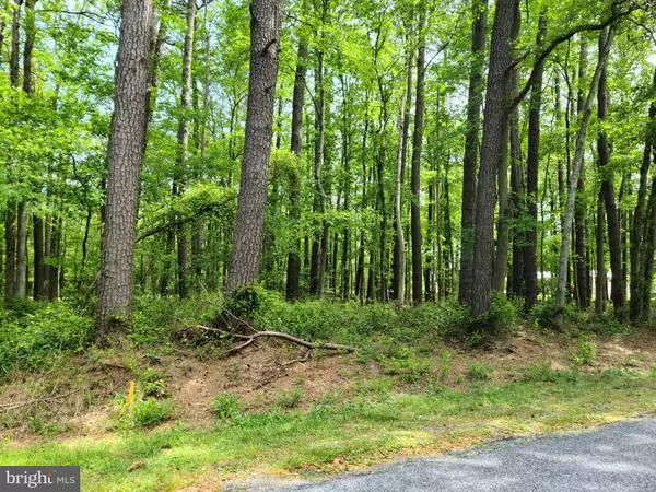 LOT 3 LYNCH RD, Selbyville, DE 19975