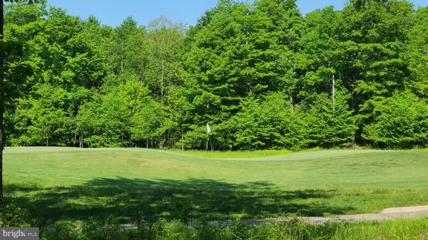 Mc Henry, MD 21541,20 FERN LOOP