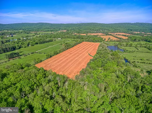 Lovettsville, VA 20180,PICNIC WOODS