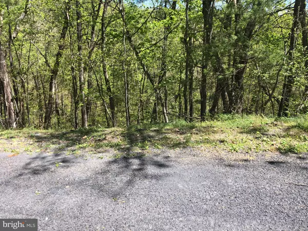 TBD EWELLS RIDGE RD, Basye, VA 22844