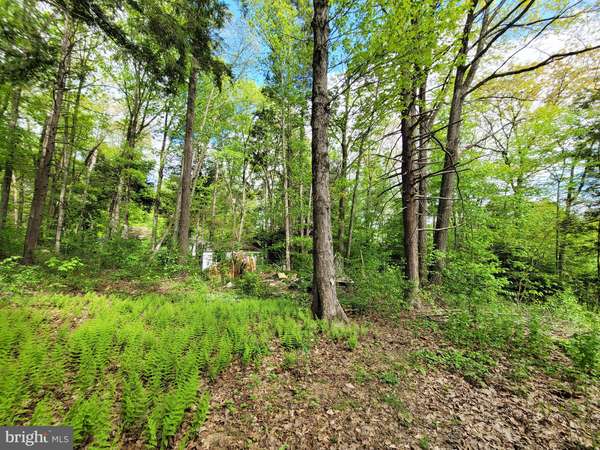 Pine Grove, PA 17963,0 PICKEREL LANE