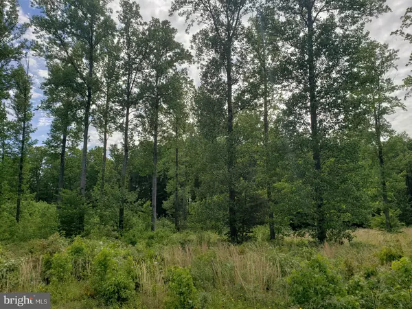 LOT 166 RAINBOW RIDGE, Bumpass, VA 23024