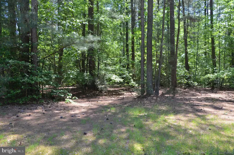 LOT 255 ARMED FORCES DR, Montross, VA 22520