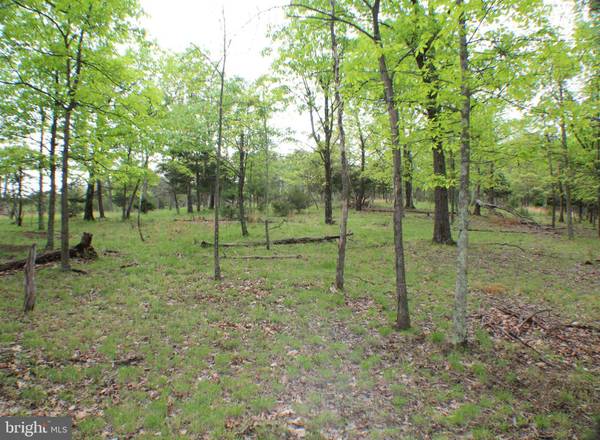 8.05 ACRES MORGANTOWN RD, Maysville, WV 26833