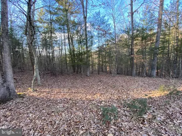 Wardensville, WV 26851,LOT 35 LOOKOUT RIDGE DRIVE