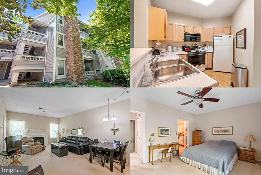 4417 FAIR STONE DR #206, Fairfax, VA 22033