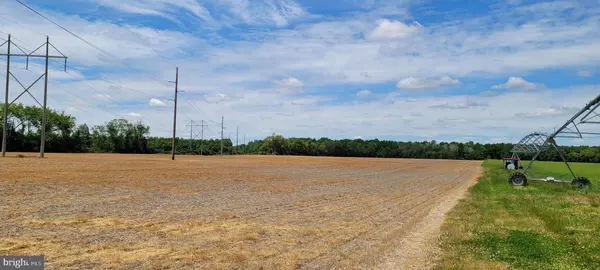 Milford, DE 19963,40 ACRES SHAWNEE RD