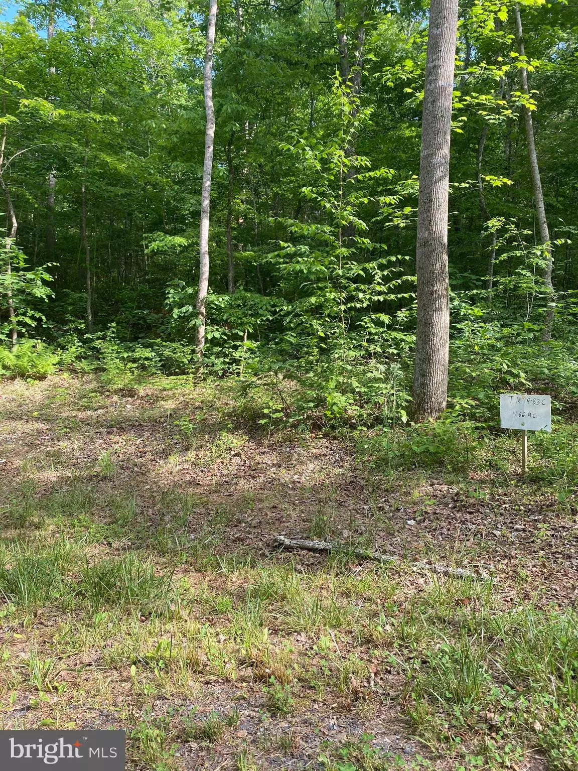 Rixeyville, VA 22737,LOT 1 SPRING HOLLOW LN