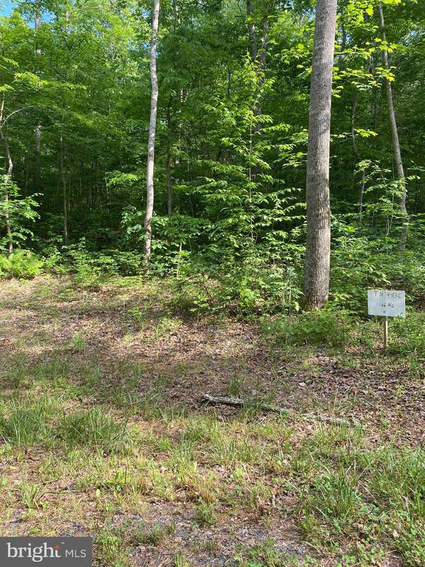 LOT 1 SPRING HOLLOW LN, Rixeyville, VA 22737