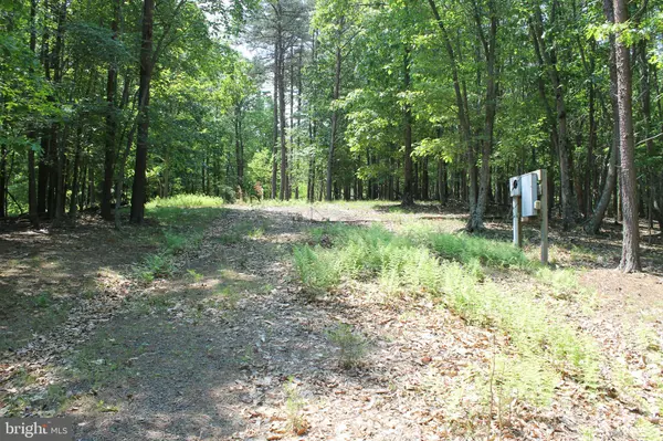 LOT # 248 DUMPLING RIDGE RD, Springfield, WV 26763