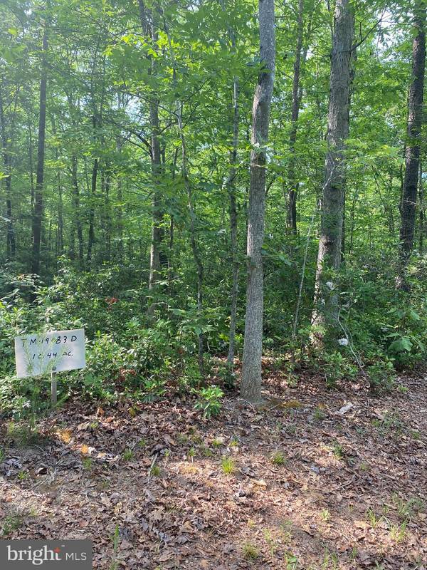 LOT 2 SPRING HOLLOW, Rixeyville, VA 22737