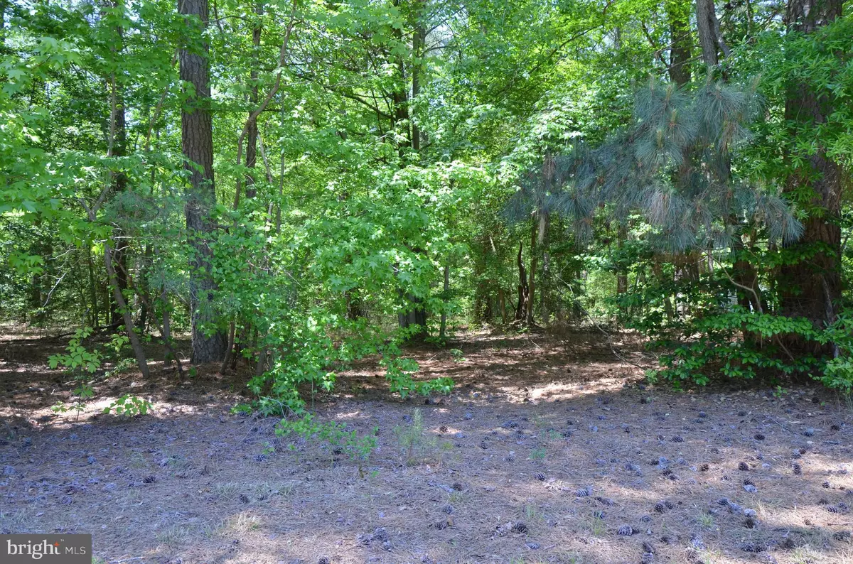 Montross, VA 22520,LOT 277 NORTH GLEBE RD