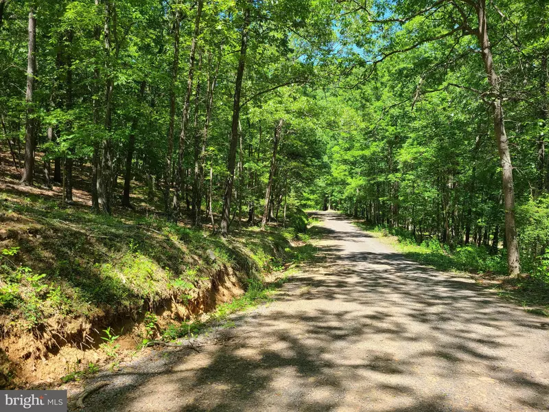 62.23 ACRES WOLFE MOUNTAIN RD, Moorefield, WV 26836