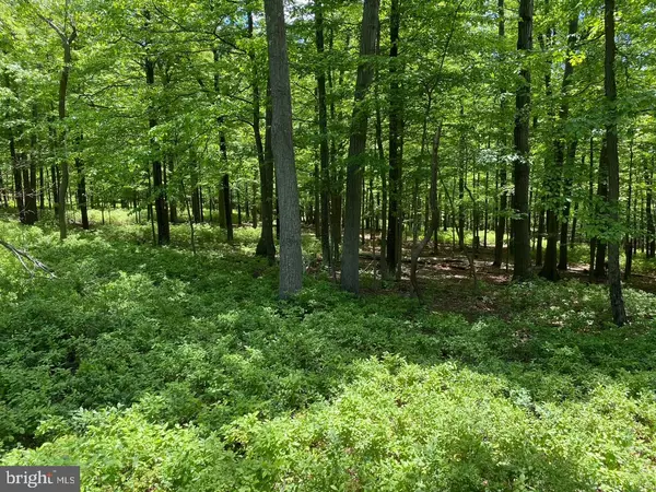 Springfield, WV 26763,LOT 230 DOMAN RIDGE RD