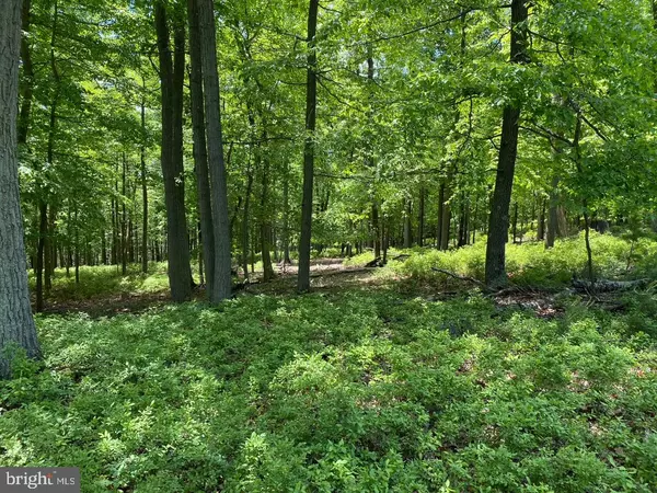 Springfield, WV 26763,LOT 230 DOMAN RIDGE RD