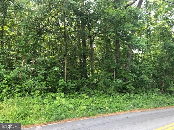 Conowingo, MD 21918,LOT #5 MCCAULEY RD