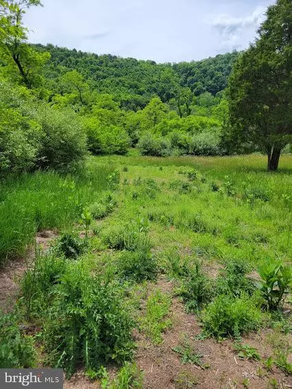 Purgitsville, WV 26852,LOT 1 PROCTOR RD