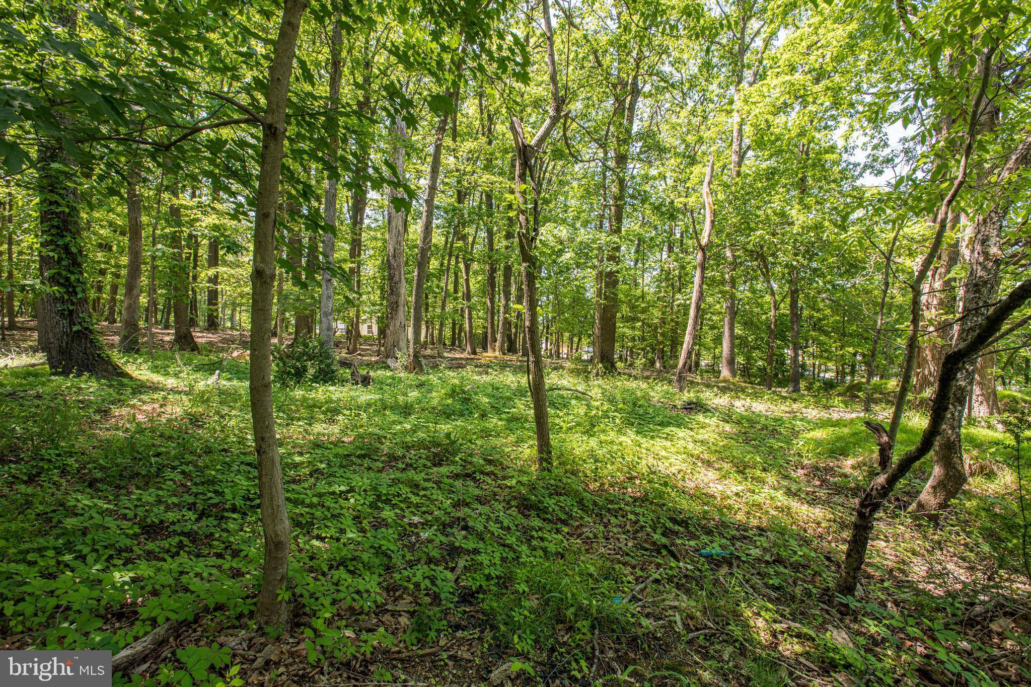 4959 WATERLOO RD, Elkridge, MD 21075