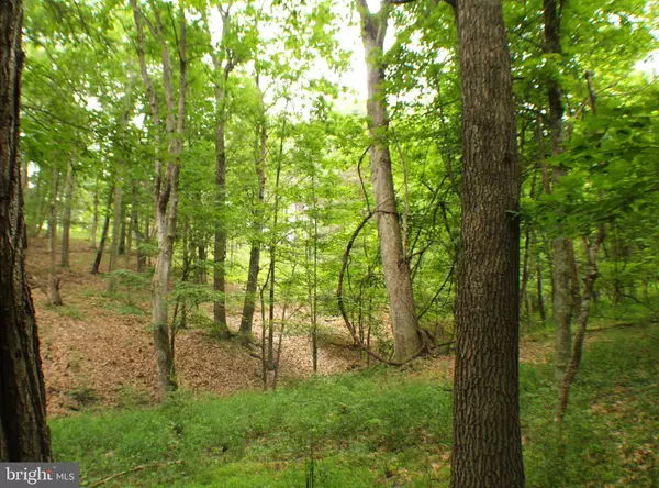 Moorefield, WV 26836,LOT 36 ASHTON WOODS DR