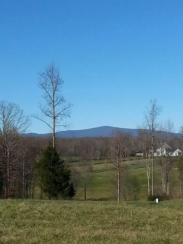 Earlysville, VA 22911,LOT 4 MOSSY CREEK CT