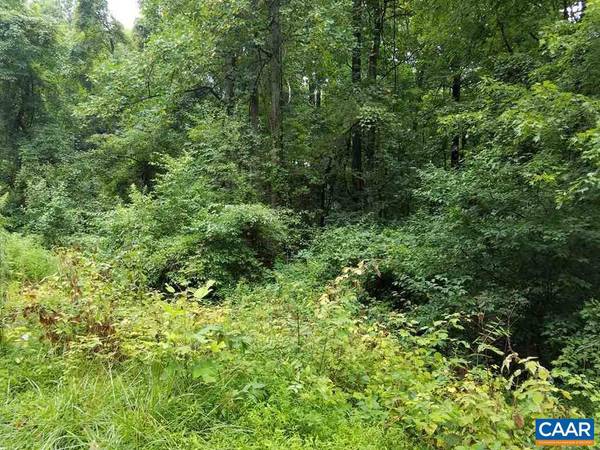 Stanardsville, VA 22973,S GREENE ACRES RD RD S #LOT 23