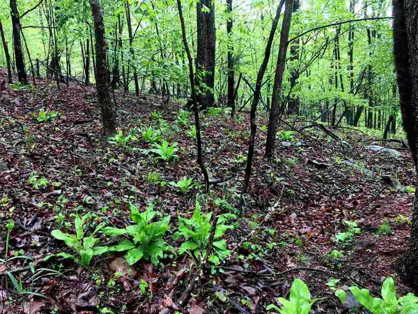 Nellysford, VA 22958,207 HOODED WARBLER LN LN