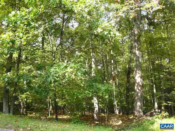 Nellysford, VA 22958,111 IRONWOOD LN LN #10