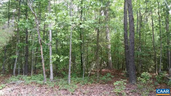 LOT 19 PETERS CREEK RD RD, Columbia, VA 23038