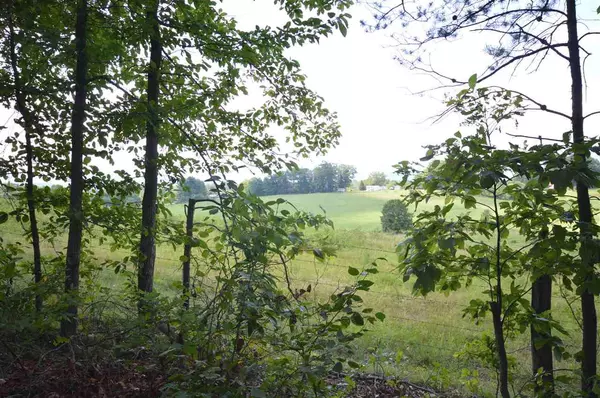 Ruckersville, VA 22968,0 CHAPEL RD RD #LOT 61 & 62