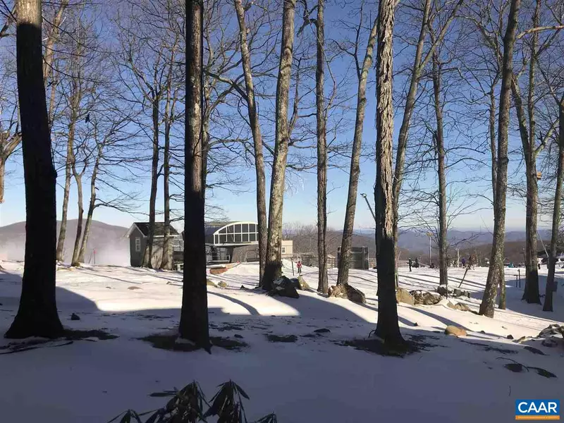 319 DOBIE CONDOS, Wintergreen Resort, VA 22958