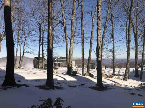 319 DOBIE CONDOS, Wintergreen Resort, VA 22958