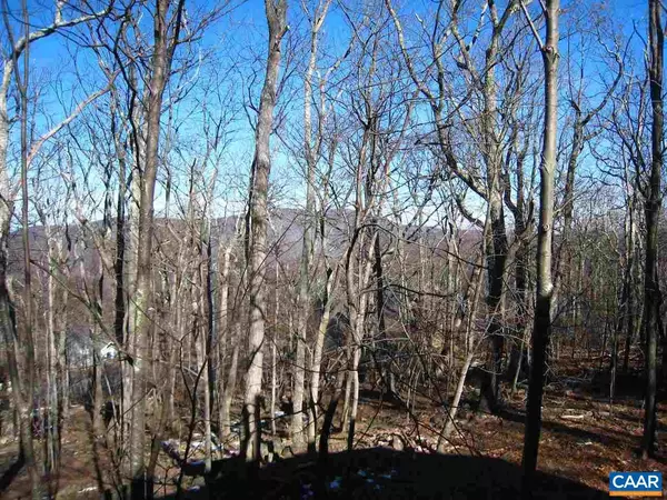 Wintergreen, VA 22958,18 SQUIRREL TREE LN LN