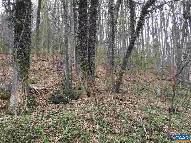 LOT #3 & 4 SPRING DR DR, Stanardsville, VA 22973