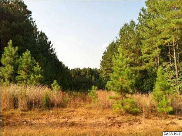 LOT 65 COUNTRY HILL LN CT, Palmyra, VA 22963