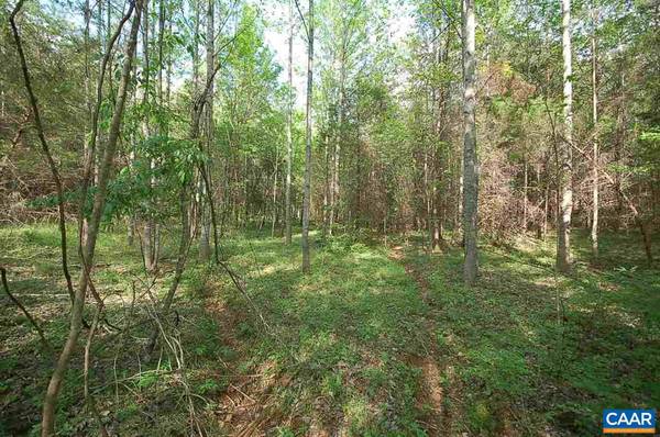 LOT 5 LAMM RD RD, Ruckersville, VA 22968