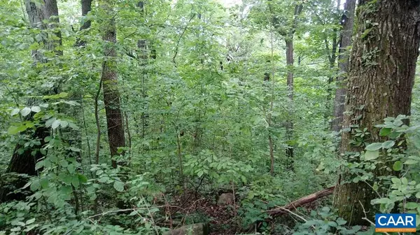 Stanardsville, VA 22973,LOT 23 TOP RIDGE RD RD #GREENE ACRES L23 SH