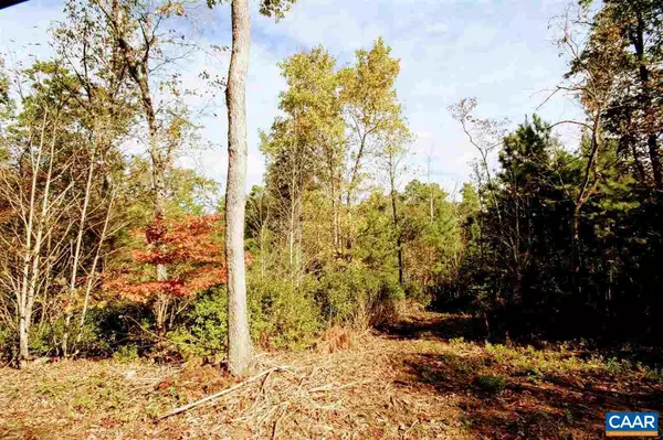 Scottsville, VA 24590,TBD CONSTITUTION HWY #LOT 1