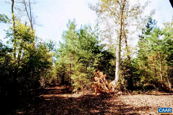 Scottsville, VA 24590,TBD CONSTITUTION HWY #LOT 1