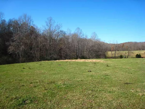 Afton, VA 22920,GREENFIELD RD RD #10.10 ACRES