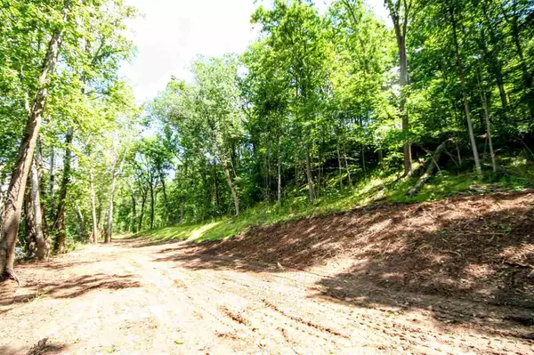 Scottsville, VA 24590,TBD CONSTITUTION HWY #LOT 6