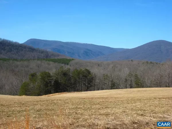 Nellysford, VA 22958,BERRY HILL RD RD #286 ACRES FRONTING B