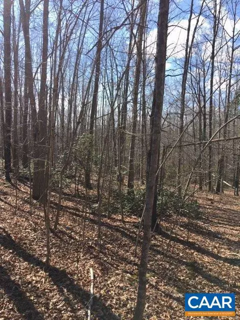 Earlysville, VA 22936,0 FUTURE OAK LN LN #LOT 006D0