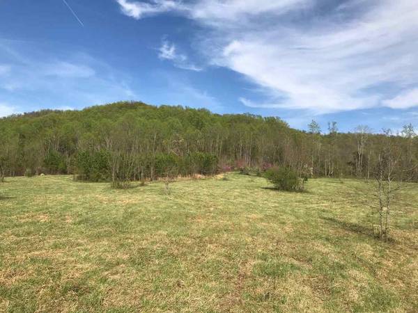 Covesville, VA 22931,0 FABER RD #ALB LOT 013A0, ALB L